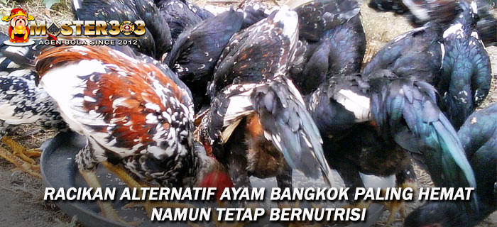 Racikan Alternatif Ayam Bangkok Paling Hemat